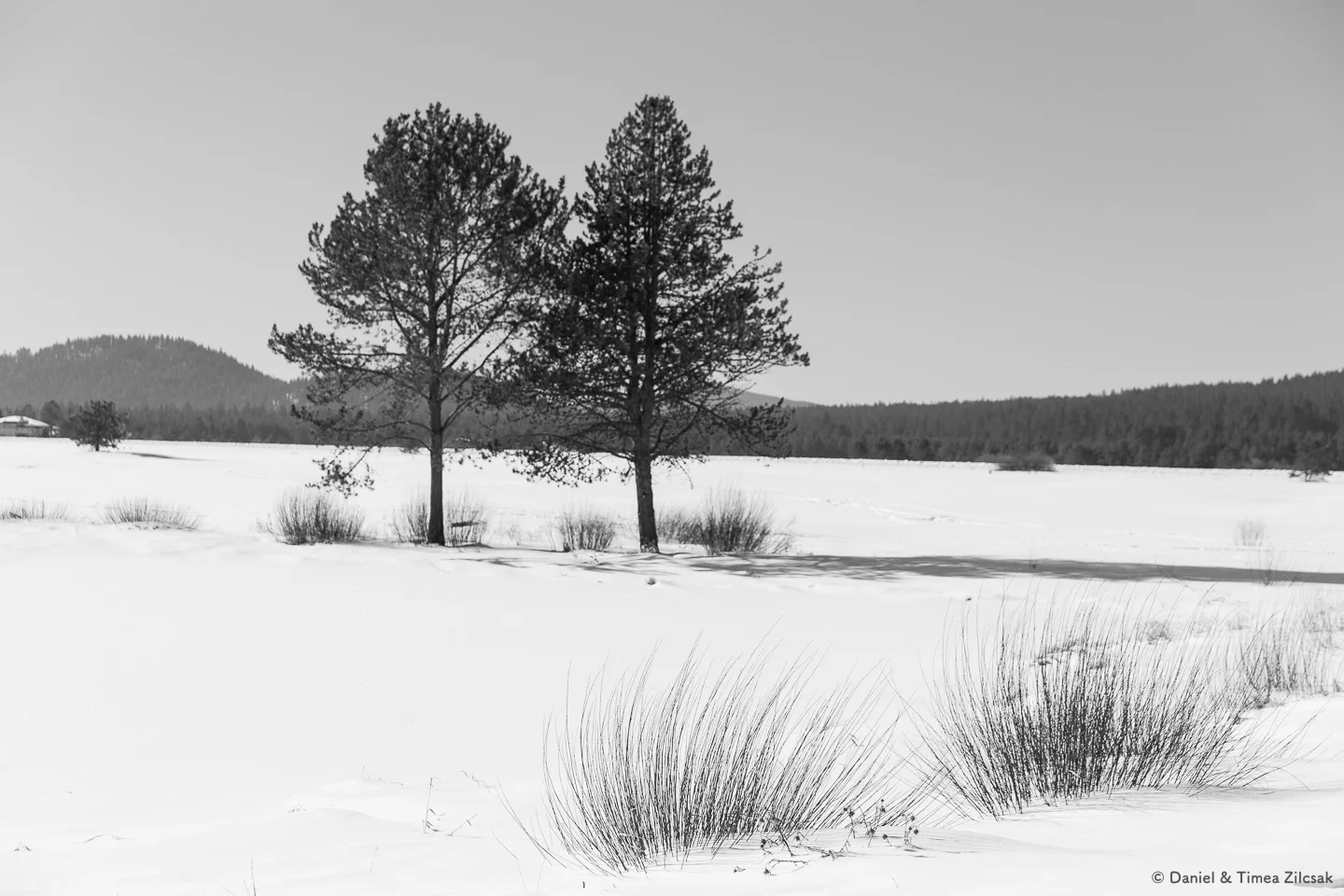 Winter Landscapes - The Zilcsaks